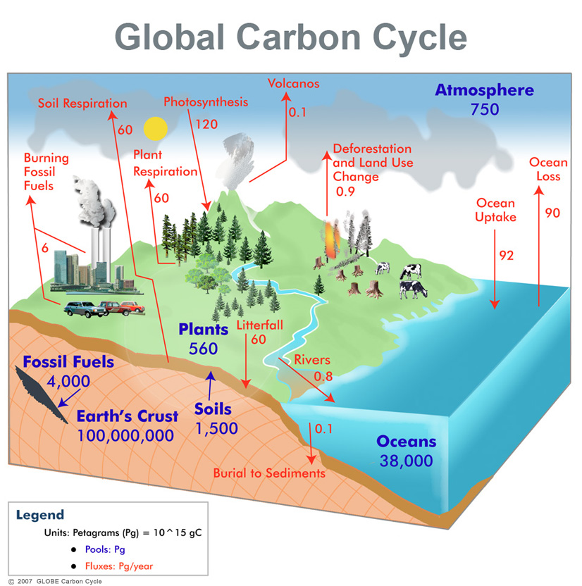 ccdiagram_Global_carbon_cycle